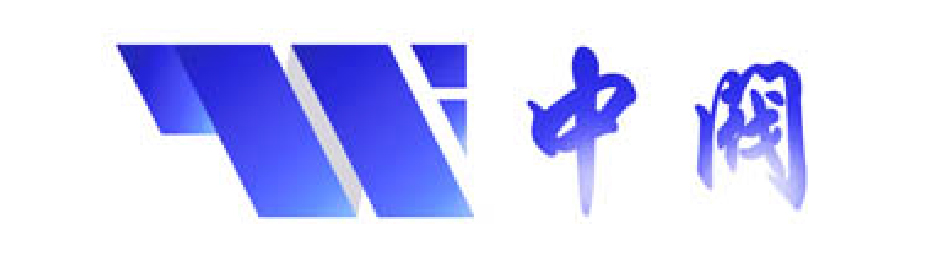 中阀